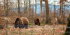 Meet Count Dracula- Vlad The Impaler And The Brown Bears
