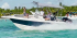 Private VIP excursion to the beautiful Saona Island
