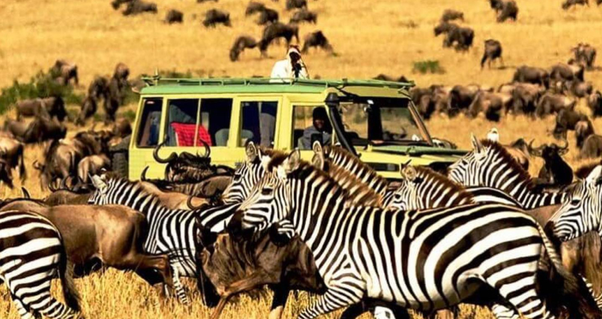14-DAY ENTHRALLING EAST AFRICAN CIRCUIT
