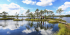 Tour to the Elnya swamp + waterfall on the Vyata River