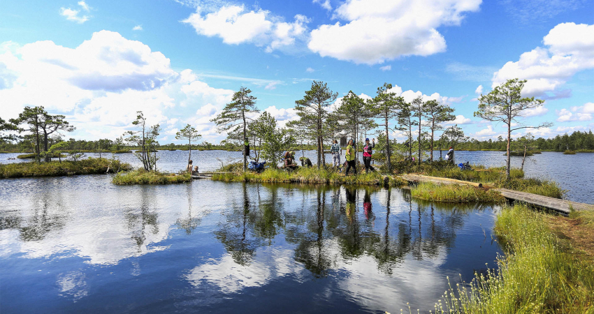 Tour to the Elnya swamp + waterfall on the Vyata River