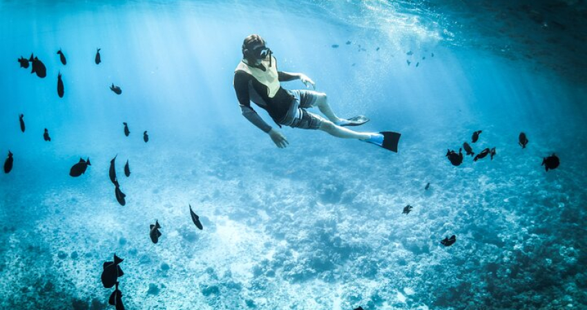 3 Hour Snorkeling and Dolphin Watching Tour in Muscat