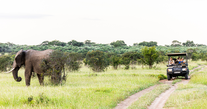 Professional field guiding course