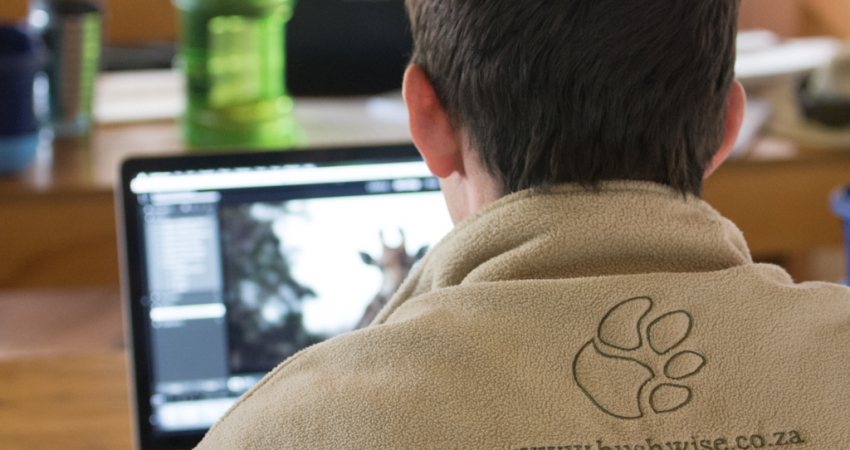 Nature enthusiast online course