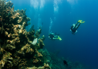 Research Assistant in Honduras