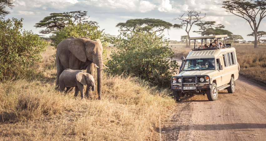The Big 5 Tanzania Adventure Safari