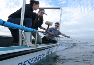 Scientific Skills-based Marine Internship