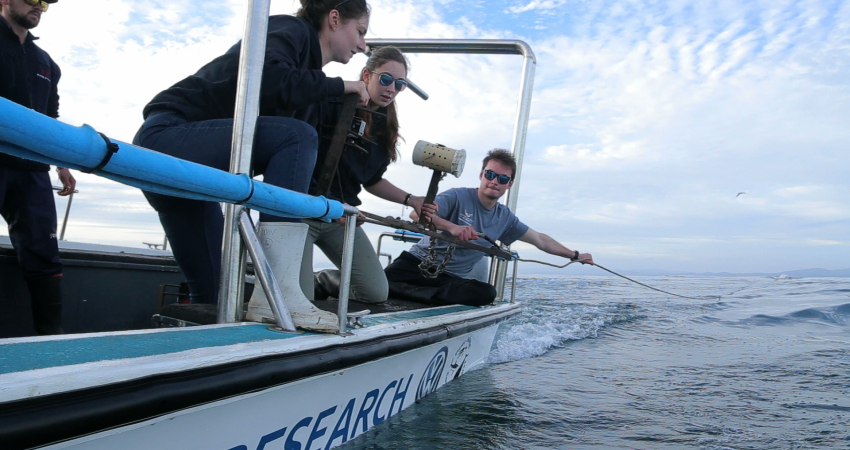 Scientific Skills-based Marine Internship