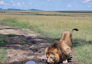 3 Days Enchanting Masai Mara Safari