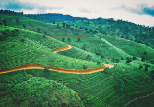Sri Lanka Tour Package-3 Days