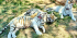 Wildlife Caretaker in South Africa