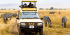 2 Days Tarangire and Ngorongoro Safari