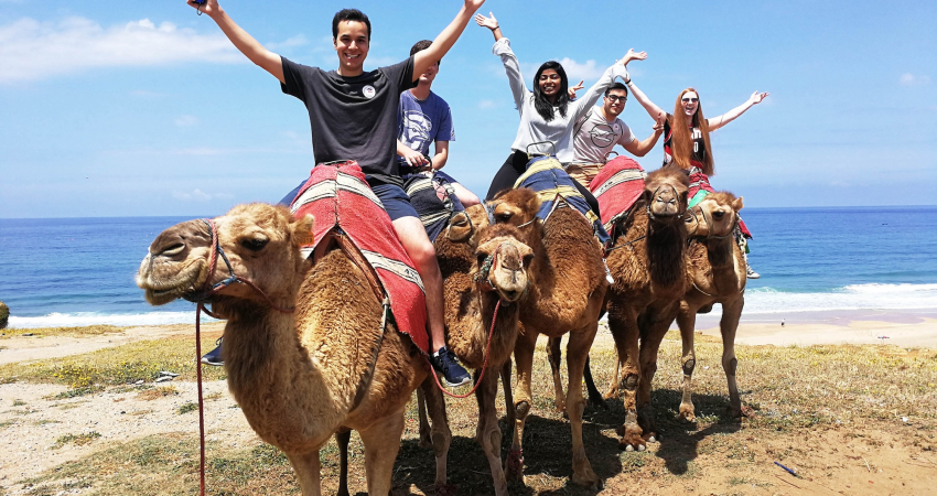 Spanish Language Learning in four enchanting Spanish cities